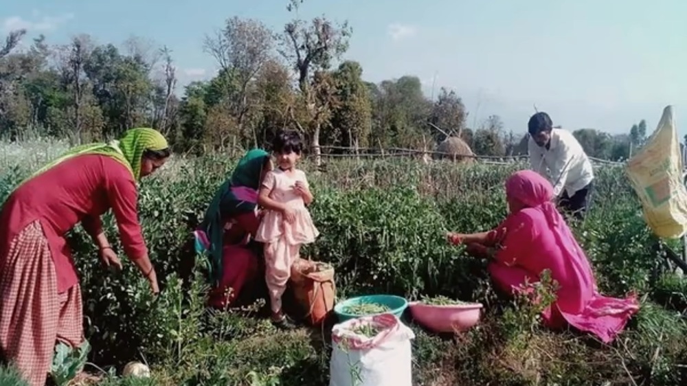 Dharmapuri farmers get online tips on improving skill sets Dharmapuri farmers get online tips on improving skill sets