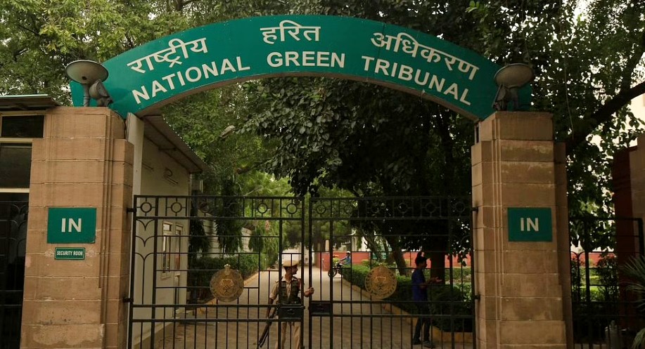 Study unutilised Ennore wetland, plan to restore Ennore creek: NGT