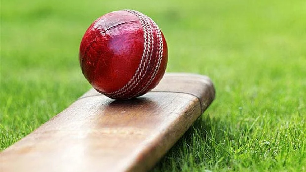 TNSJA office-bearers for 2022-23 elected TNSJA office-bearers for 2022-23 elected