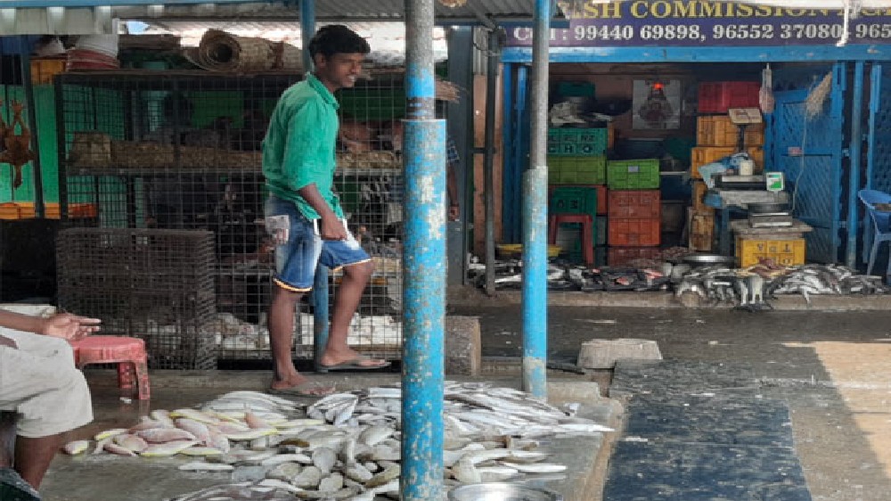 NGT slaps Rs 39.41L fine on Kumari sea food processing unit