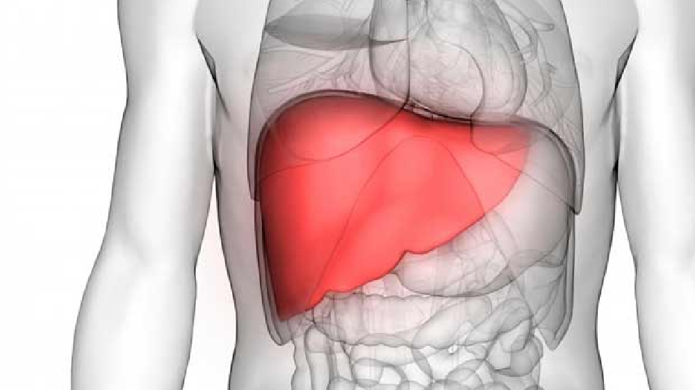 Live liver transplant on child performed at Egmore’s ICH