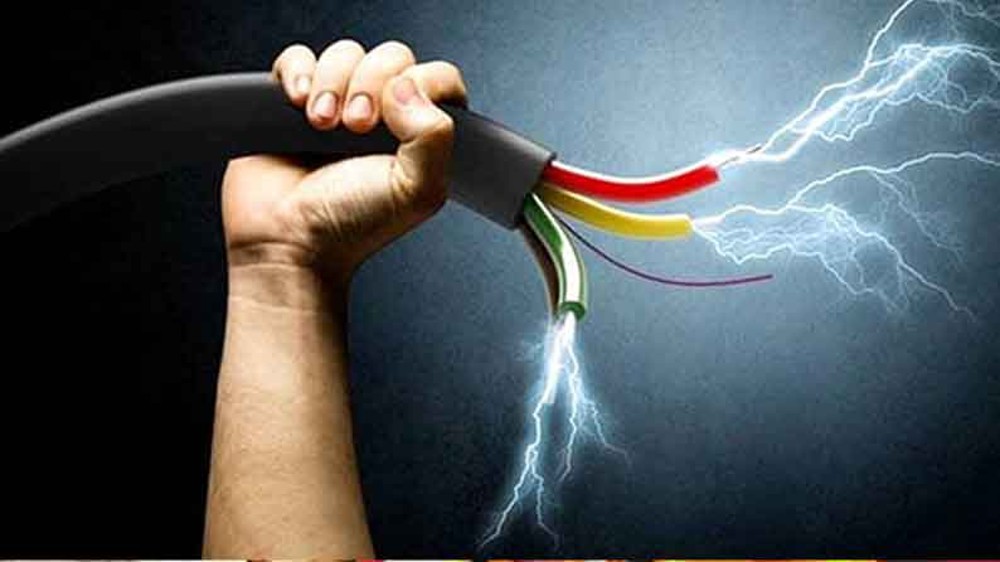 Faulty electric pole switchboard kills bufallo near Adambakkam