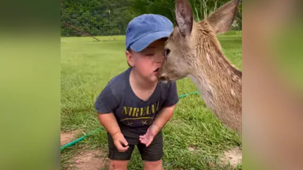 Video of boy kissing baby deer wins internet on Intl Kissing Day Video of boy kissing baby deer wins internet on Intl Kissing Day