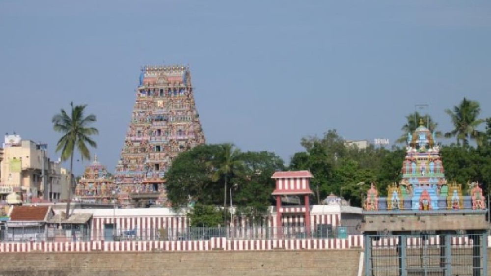 File chargesheet within 4 months: HC on peacock idol case