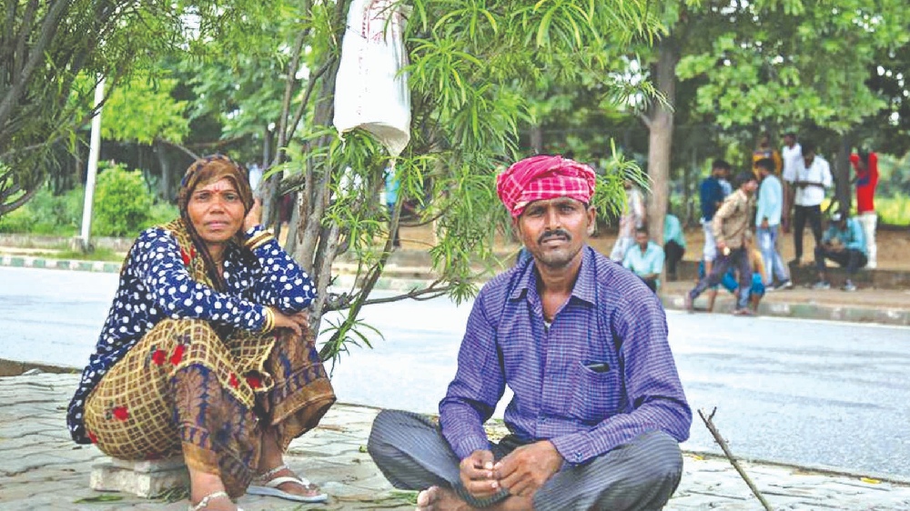 Employment crunch: Seeking way ahead in job-scarce economy Employment crunch: Seeking way ahead in job-scarce economy