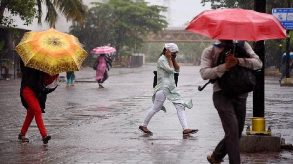 Intense rain in Tamil Nadu to take break from August 7
