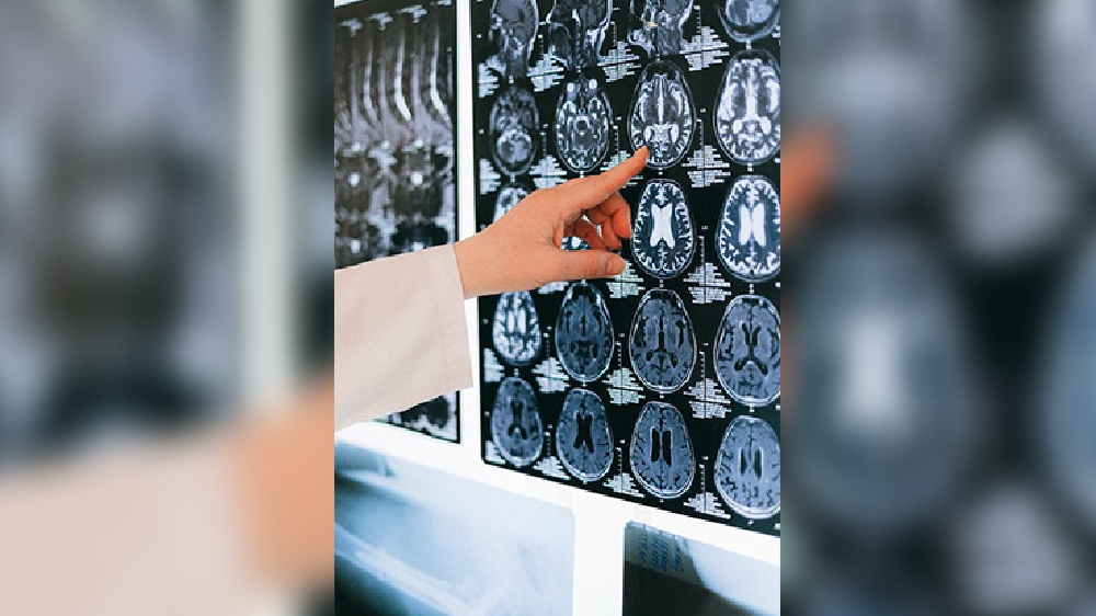 Brain region responsible for effortful altruistic behaviour Brain region responsible for effortful altruistic behaviour