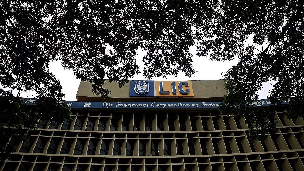 LIC Q1 profit jumps multi-fold to Rs 682.89 cr
