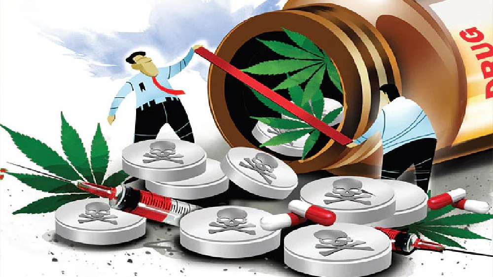 Vellore SP raids plantation, seizes 40 four-foot high ganja plants