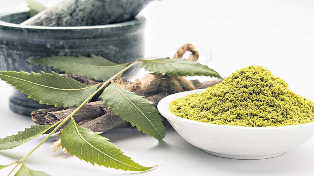5 Herbs for radiating and youthful skin