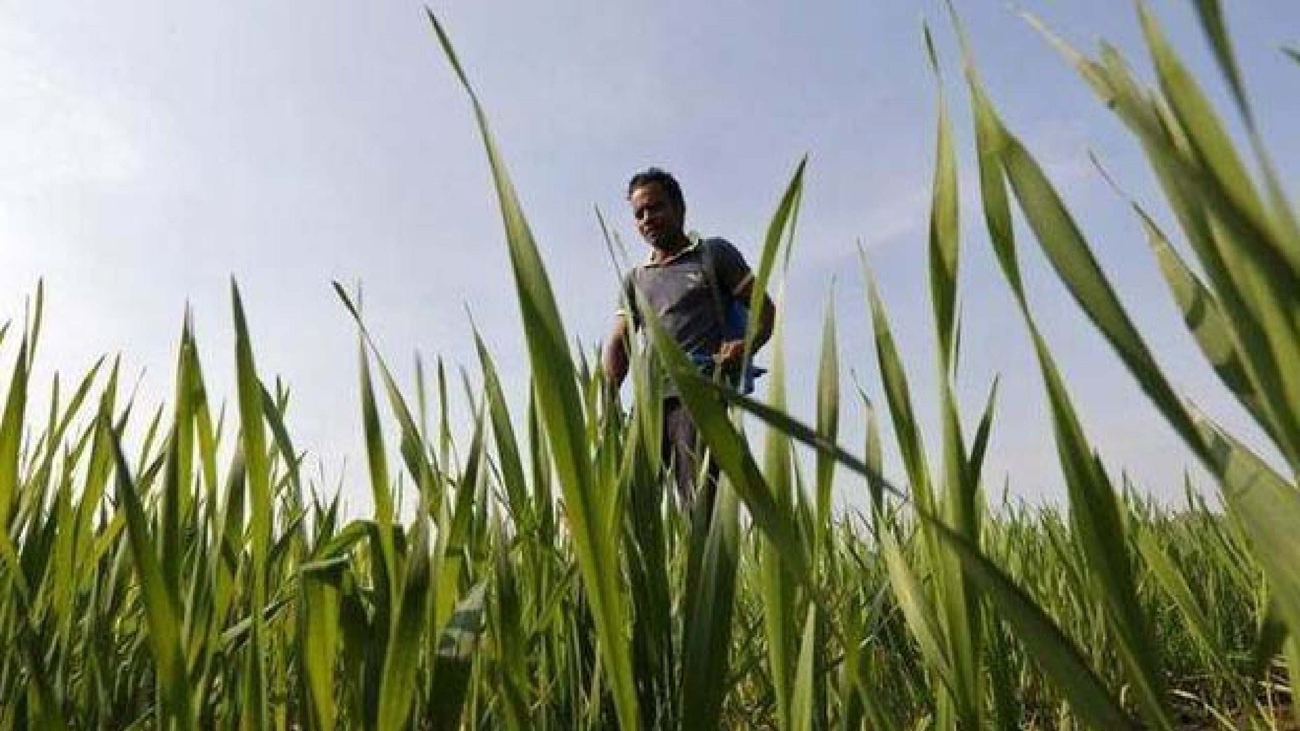 Export promotion to achieve $23.56 billion target for 2022-23