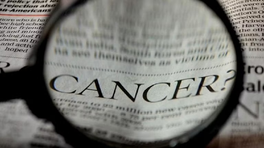 Cancer-related fibroblasts induce drug sensitivity: Research