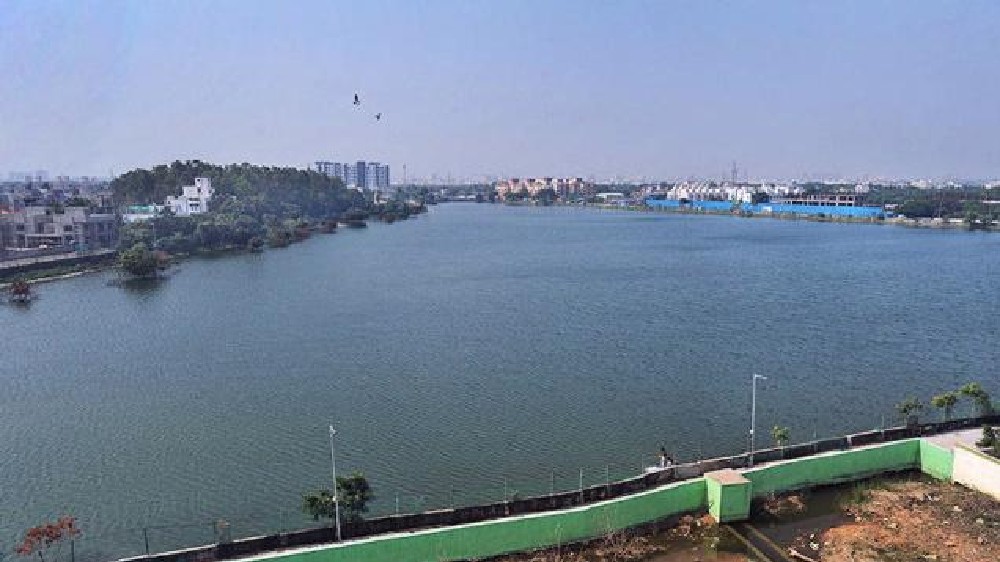 Survey Perungudi lake for encroachments: NGT