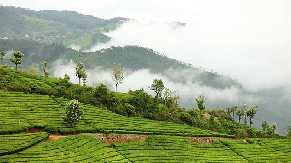 Nilgiris, Conoor win award for Best Mountain and Hill Views Nilgiris, Conoor win award for Best Mountain and Hill Views