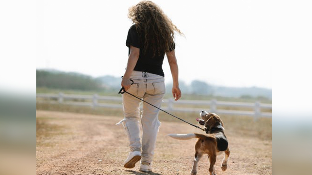 Dogs with more active owners get more exercise: Study
