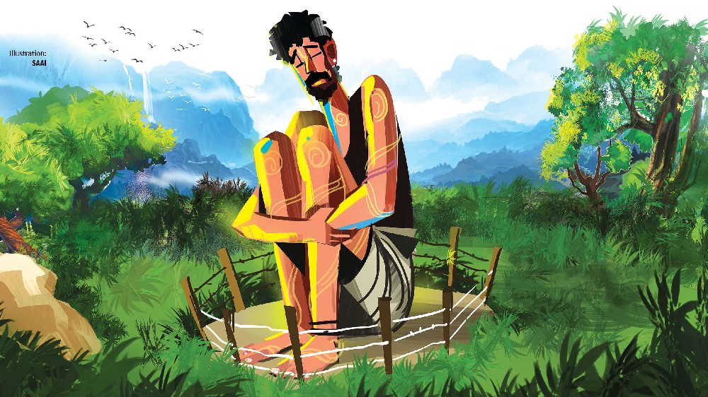 Miniature dwellings in the wild