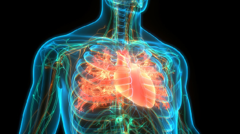 Combination polypill may lower major cardiovascular events risks Combination polypill may lower major cardiovascular events risks