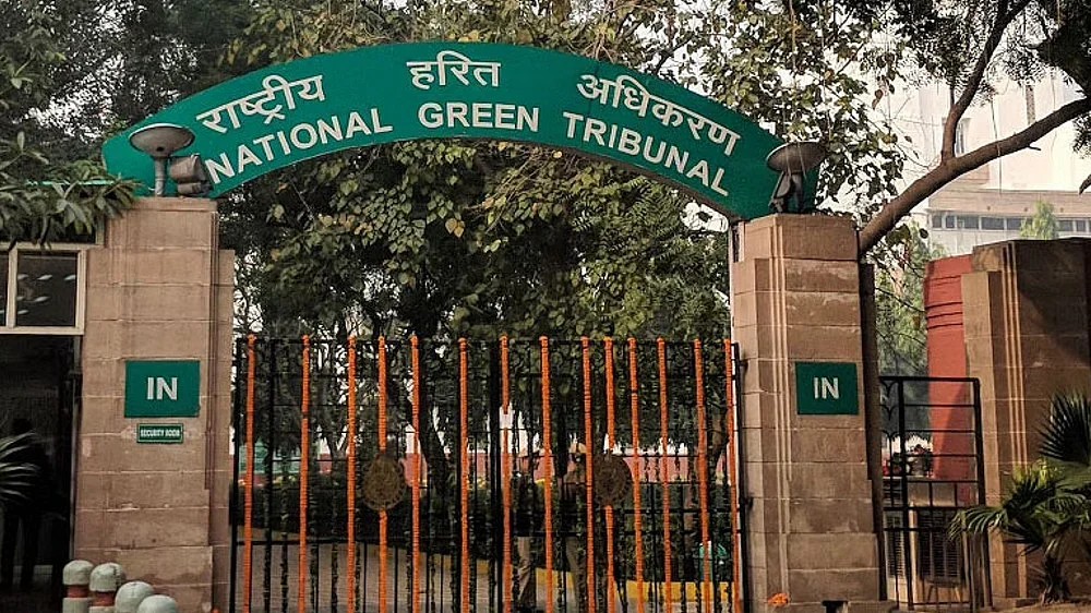 Maintaining vacant land is duty of land owners: NGT