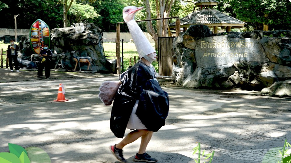 Zoo employee dresses up as ostrich in Thailand, check why Zoo employee dresses up as ostrich in Thailand, check why