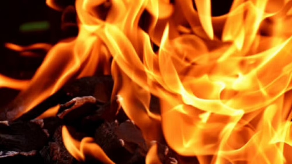 Fire breaks out in Delhi, no casualty reported Fire breaks out in Delhi, no casualty reported