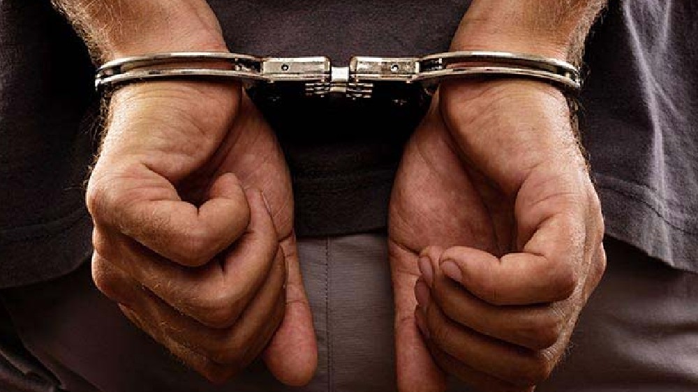 Man held for placing country bombs to poach wild boar in Nilgiris Man held for placing country bombs to poach wild boar in Nilgiris
