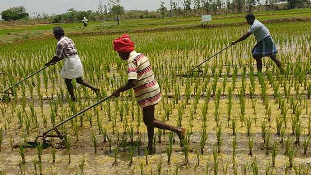 Tiruchy farmers urges Collector to clear encroachments from canals