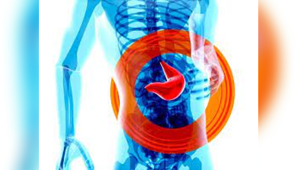 Study probes how intestine repairs damaged tissue