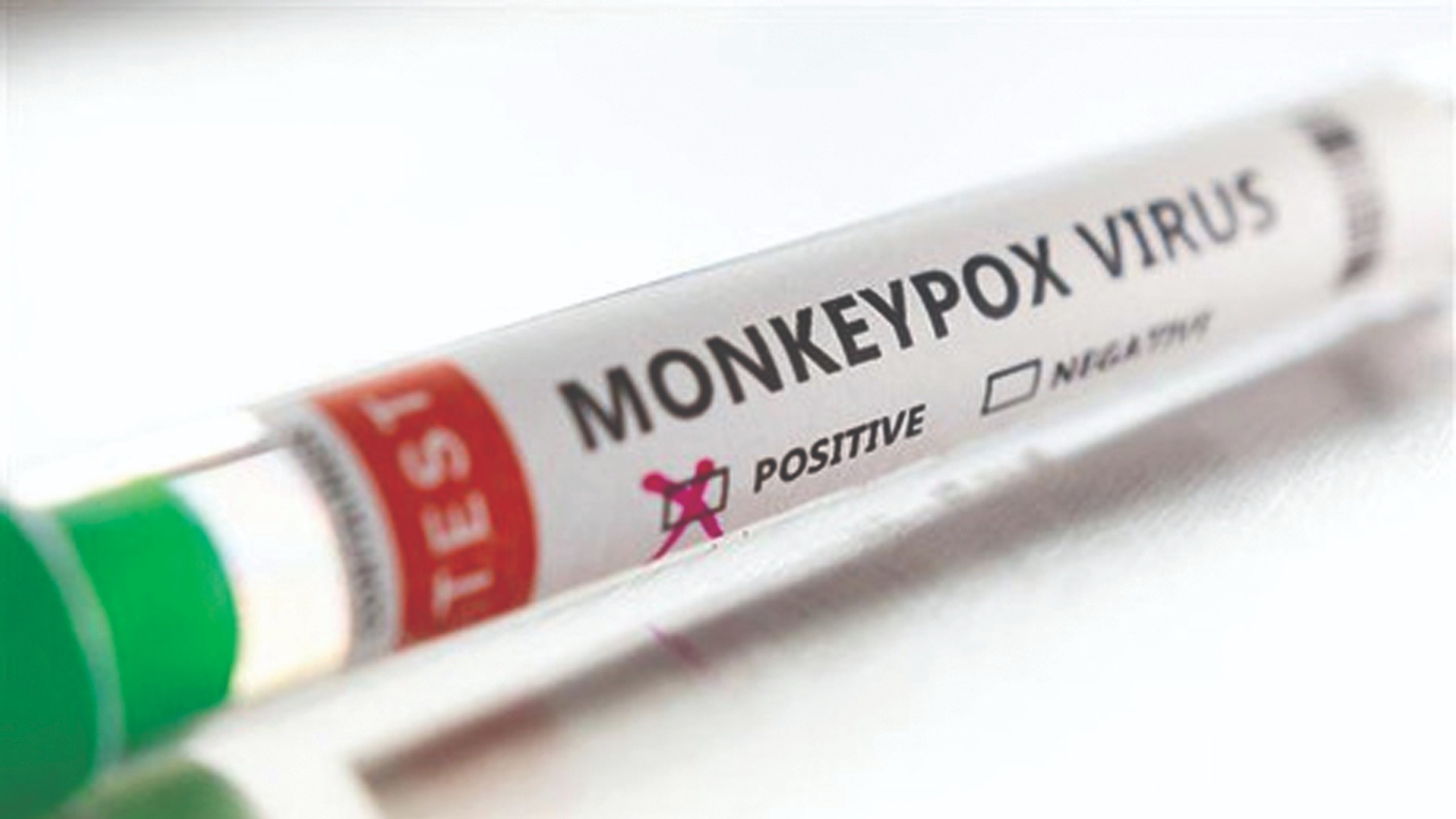 1st indigenous monkeypox test kit released 1st indigenous monkeypox test kit released