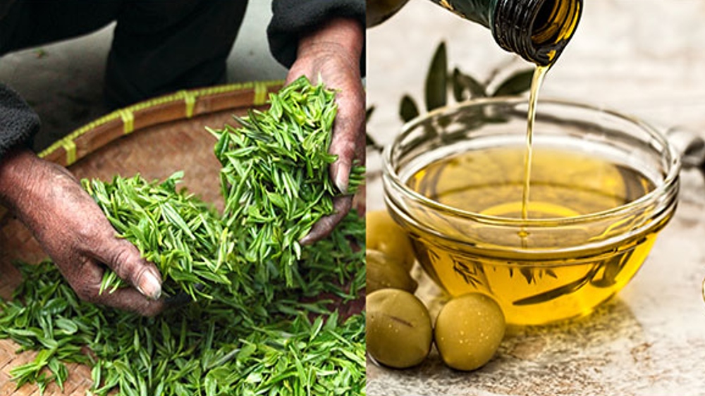 Natural compounds show potential in creation of Covid-19 medicines