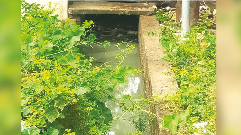 Sembakkam residents  complain of sewage in storm water drains