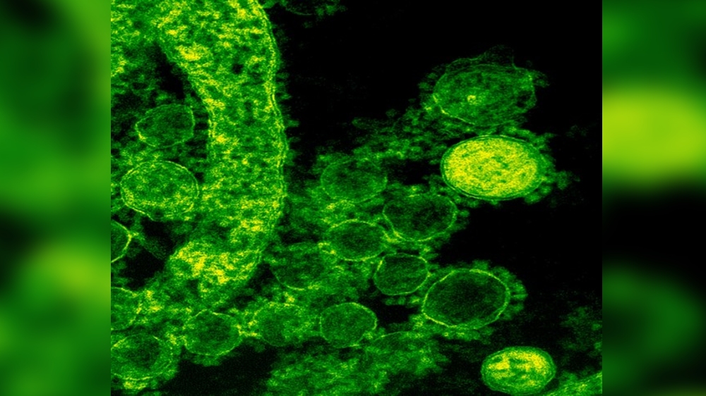 Scientists eavesdrop on communication between fat and brain