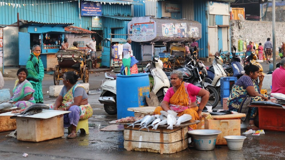 Adequate supply led to decrease in fish price in Chennai