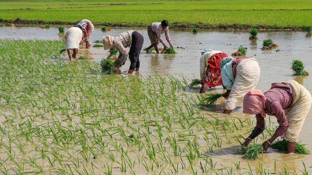 Vellore ryots find getting loans hard after fresh directive