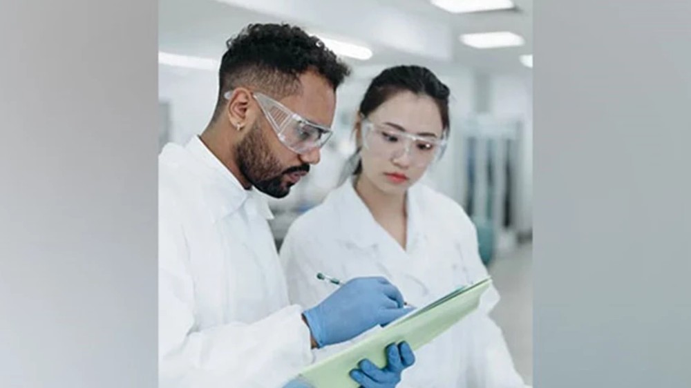 Study reveals that ticks weaken skins immune response