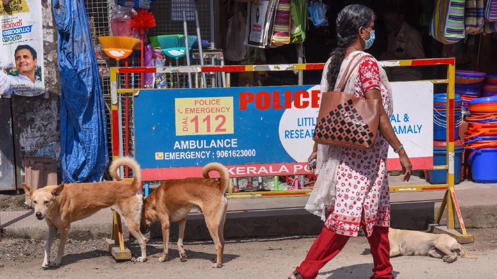 Kerala hit by escalating man-stray dog conflict