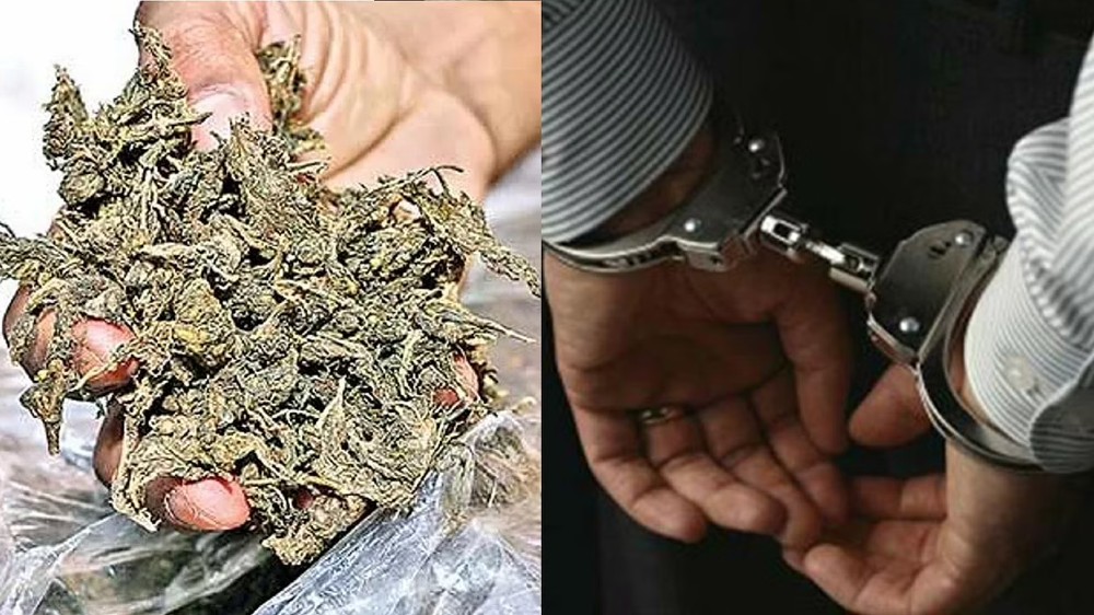 Ganja sold near schools: Five arrested by Aminjikarai Police