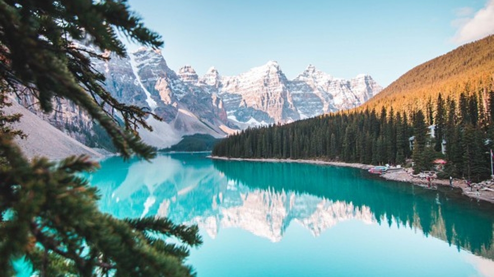 Study: People’s appreciation of nature was reignited by Covid-19