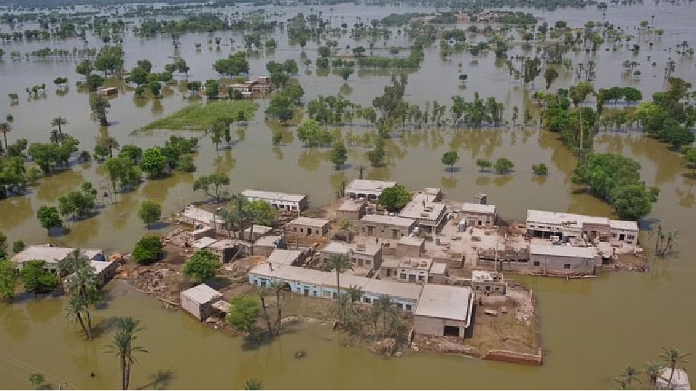 Flood losses in Pakistan estimated up to $20bn Flood losses in Pakistan estimated up to $20bn