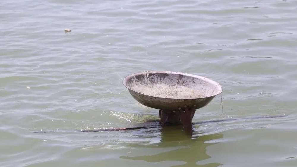 Death toll in devastating Pakistan flooding reaches 1,265 Death toll in devastating Pakistan flooding reaches 1,265