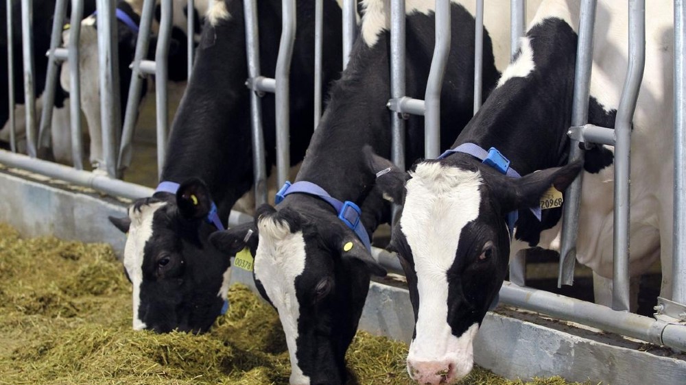 Indian dairy market to jump over 2-fold to Rs 30 lakh cr by 2027