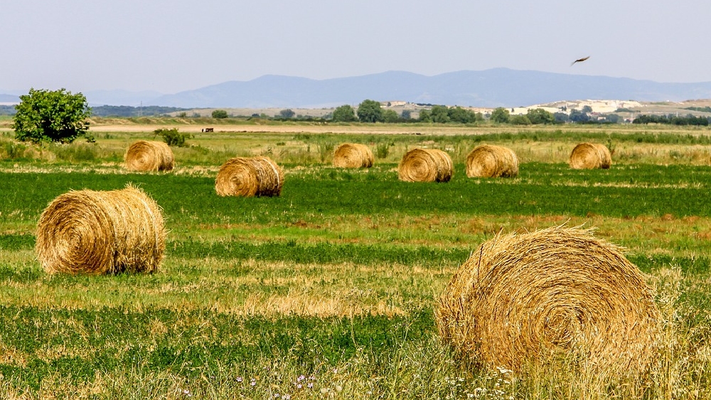 DPC not on govt land, TNCSC stops procurement at Vanakambadi