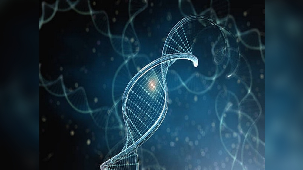 Stem cell biologists create new human cell types for research