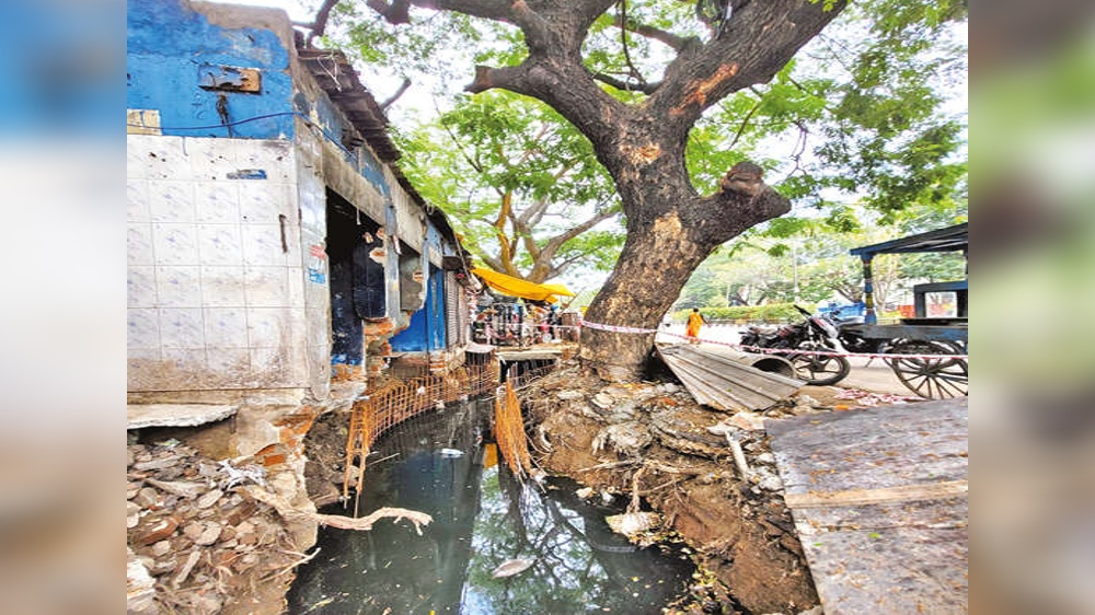 Don’t build civic utilities on SWDs, activists urge GCC Don’t build civic utilities on SWDs, activists urge GCC