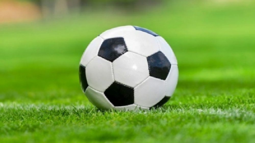 Qatar showcases FIFA World Cup sustainability initiatives at UN