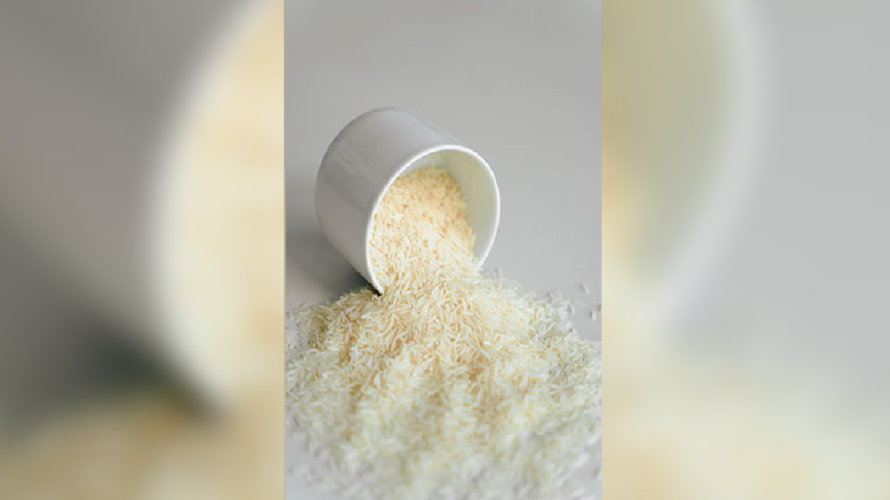 Broken rice export in transit to go on till Sept 30 with conditions