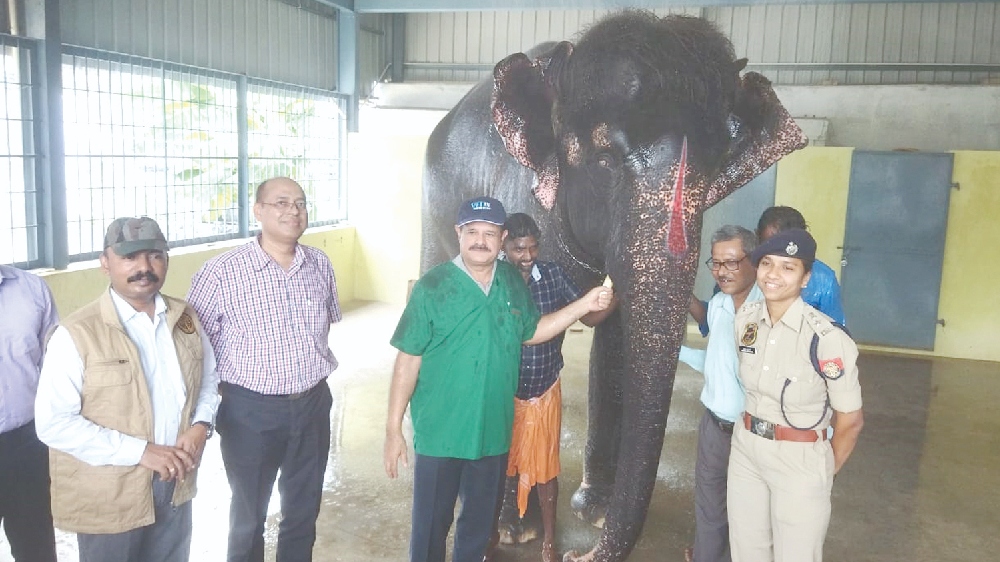Team from Assam inspects Joymala in Srivilliputhur