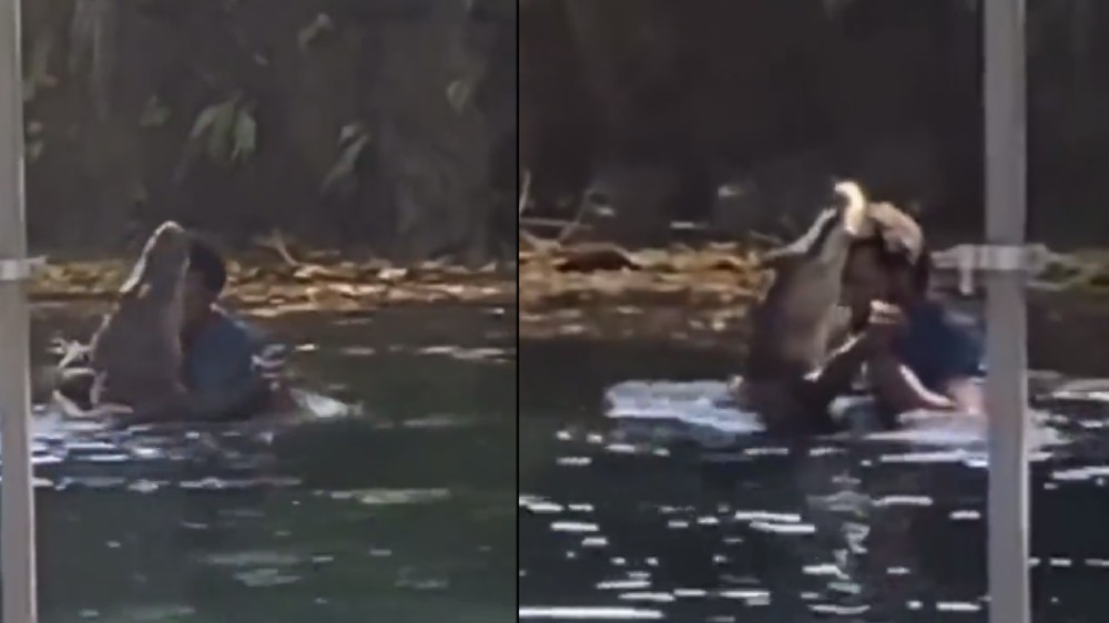 Watch: Man embracing a wild reptile in pond