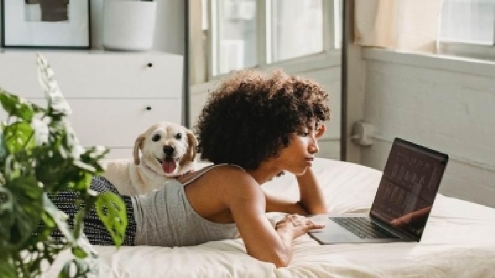 Keep your home pet odour-free