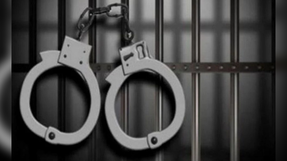 Maha: Man held for raping buffalo calf in Pune