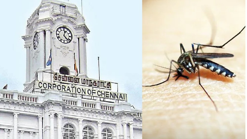 GCC requests cooperation to prevent dengue